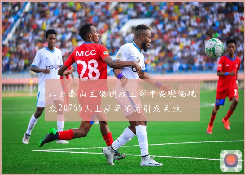 山东泰山主场迎战上海申花现场观众20766人上座率不高引发关注